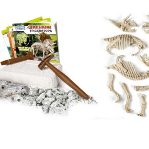 clementoni, science & play, archeofun triceratops glow in the dark, puzzle, 61723, unisex, 7+ years