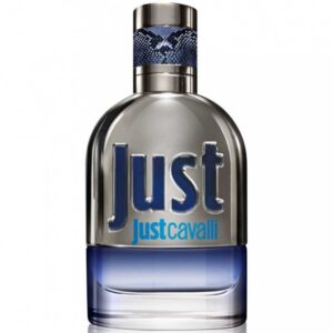 roberto cavalli, just cavalli, eau de toilette, for men, 90 ml *tester