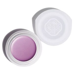 shiseido, paperlight, cream eyeshadow, vi304, shobu purple, 6 g